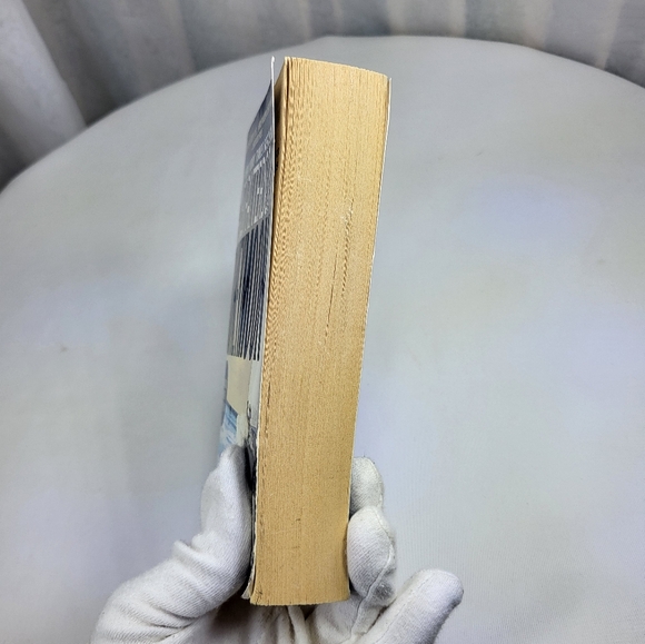 Honeymoon Paperback Book by James Patterson & Howard Roughan - Picture 9 of 12